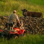 Stone and steel-frame farm buildings in the Cumbrian countryside